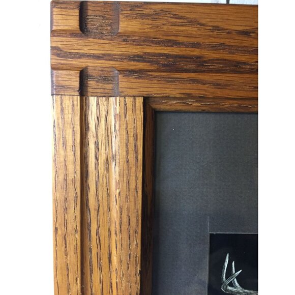 Original Scratchboard Giraffe Portrait by Carol Kehler-Hemdal (1985), Registered - Picture 11 of 14